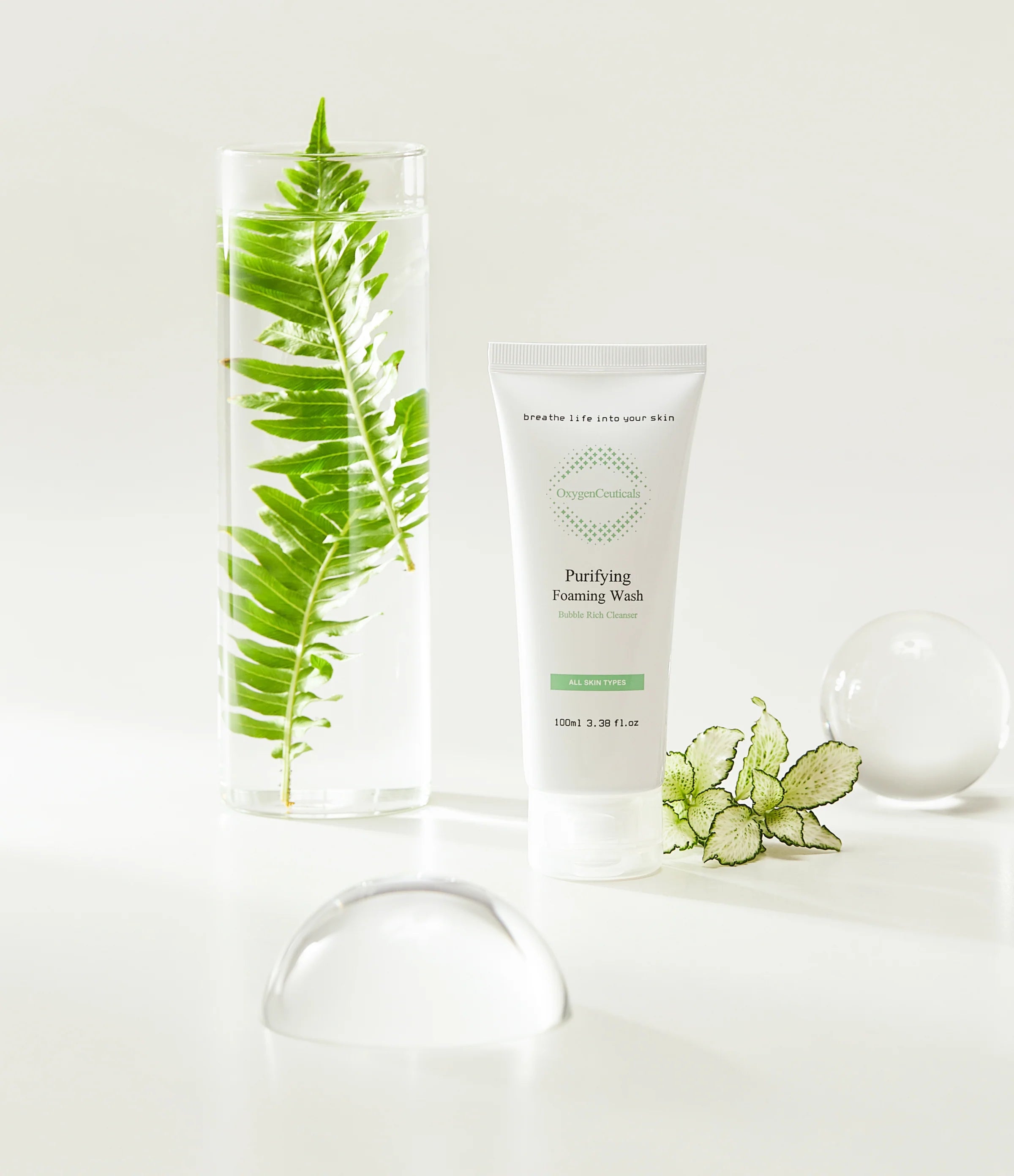 OxygenCeuticals Purifying Foaming Wash