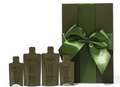 Areté Ritual Hair Care Discovery Kit